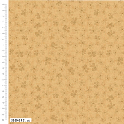 Petal Palette Straw Quilting Cotton Fabric – Debbie Shore 3860-31