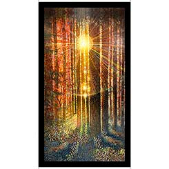 Forest Sunshine Cotton Quilting Panel
