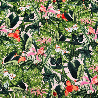 Jungle Butterfly cotton print - Sunnyside Fabrics UK - animal print, jungle, leopard, parrots, toucans - {{product.type}} - sunnysidefabricsuk.com