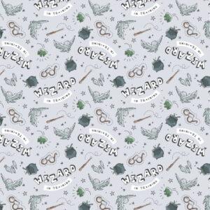 Wizards in Training, Harry Potter Cotton Fabric - Sunnyside Fabrics UK - harry, harry potter, licensed fabric - {{product.type}} - sunnysidefabricsuk.com